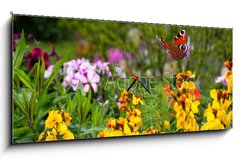 Obraz s hodinami 1D - 120 x 50 cm F_AB270234629 - Schmetterling 578