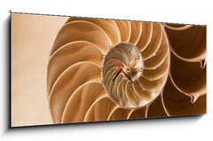 Obraz s hodinami   close up nautilus shell pattern, 120 x 50 cm