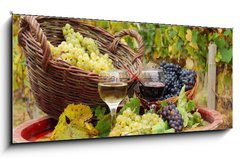 Obraz s hodinami 1D panorama - 120 x 50 cm F_AB27521163 - vineyard with red and white wine