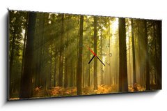 Obraz s hodinami 1D panorama - 120 x 50 cm F_AB27621934 - Beautiful Forest - Krásný les
