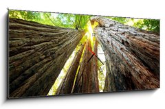 Obraz s hodinami 1D panorama - 120 x 50 cm F_AB27791055 - Sequoya