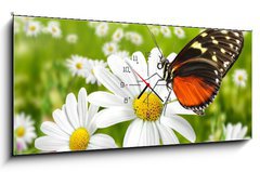 Obraz s hodinami 1D panorama - 120 x 50 cm F_AB27824157 - Schmetterling 104