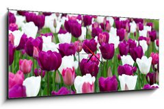 Obraz s hodinami 1D panorama - 120 x 50 cm F_AB27832977 - tulipany