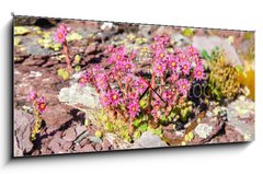 Obraz s hodinami 1D panorama - 120 x 50 cm F_AB280902351 - Berg
