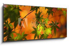 Obraz s hodinami 1D panorama - 120 x 50 cm F_AB28199408 -    (       )