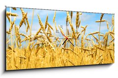 Obraz s hodinami 1D panorama - 120 x 50 cm F_AB2830347 - grain field - obilí pole