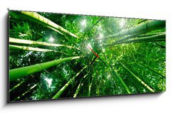 Obraz s hodinami 1D panorama - 120 x 50 cm F_AB28379560 - Bambou zen for t