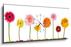 Obraz s hodinami 1D panorama - 120 x 50 cm F_AB28406687 - flower nature garden botany daisy bloom pot