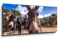 Obraz s hodinami 1D panorama - 120 x 50 cm F_AB290191990 - Majorka