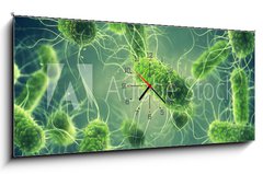 Obraz s hodinami   Pathogenic Salmonella Bacteria, Microbiological research, 120 x 50 cm