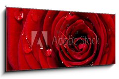 Obraz s hodinami 1D panorama - 120 x 50 cm F_AB29530687 - Rosenbl te mit Wassertropfen
