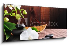 Obraz s hodinami 1D panorama - 120 x 50 cm F_AB29542352 - Spa concept - dolphin