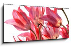 Obraz s hodinami 1D - 120 x 50 cm F_AB29639860 - Beautiful tulips.