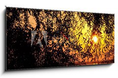 Obraz s hodinami   sunset behind the tree, 120 x 50 cm