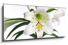 Obraz s hodinami 1D panorama - 120 x 50 cm F_AB2991514 - easter lily - velikonoční lilie