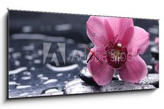 Obraz s hodinami 1D panorama - 120 x 50 cm F_AB30028314 - still life with pebble and macro of orchid with water drops - zátiší s oblázky a makro orchidea s vodní kapky