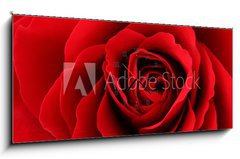 Obraz s hodinami 1D panorama - 120 x 50 cm F_AB30035438 - Rote Rose - Červená růže