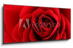 Obraz s hodinami 1D panorama - 120 x 50 cm F_AB30035438 - Rote Rose - erven re