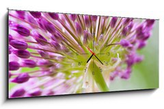 Obraz s hodinami 1D panorama - 120 x 50 cm F_AB30429573 - allium