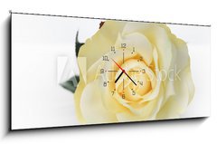 Obraz s hodinami 1D panorama - 120 x 50 cm F_AB30527713 - Single White Rose