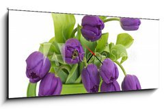 Obraz s hodinami 1D panorama - 120 x 50 cm F_AB30636217 - bunch of violet tulips