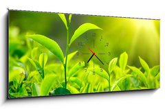 Obraz s hodinami 1D panorama - 120 x 50 cm F_AB30841113 - Tea bud and leaves - Šálek čaje a listů