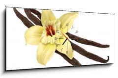 Obraz s hodinami 1D panorama - 120 x 50 cm F_AB30979053 - Vanilla Bean and Flower (clipping path)