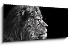Obraz s hodinami 1D panorama - 120 x 50 cm F_AB31175850 - Stunning facial portrait of male lion on black background in bla - Ohromující obličej portrét lva na černém pozadí v bla