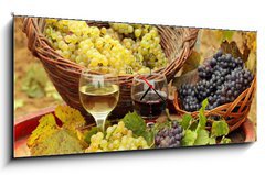 Obraz s hodinami 1D panorama - 120 x 50 cm F_AB31176715 - Wine and Grapes in the Vineyard