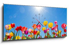 Obraz s hodinami 1D panorama - 120 x 50 cm F_AB31333343 - Tulips in the sun