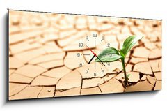 Obraz s hodinami 1D panorama - 120 x 50 cm F_AB31371221 - Plant in dried cracked mud - Rostlina v sušeném popraskaném bahně