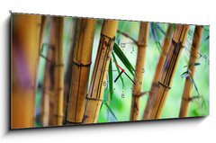 Obraz s hodinami 1D panorama - 120 x 50 cm F_AB31531267 - Bamboo forest background - Bambusové pozadí lesa
