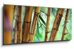 Obraz s hodinami 1D panorama - 120 x 50 cm F_AB31531267 - Bamboo forest background - Bambusov pozad lesa