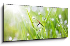 Obraz s hodinami 1D panorama - 120 x 50 cm F_AB31545504 - sparkling grass - umiv trva