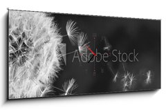 Obraz s hodinami 1D panorama - 120 x 50 cm F_AB317106413 - White dandelion on blue