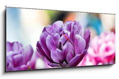 Obraz s hodinami 1D panorama - 120 x 50 cm F_AB31786414 - Lila tulpe - Fialov tulipn