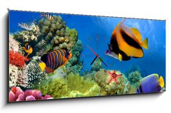 Obraz s hodinami 1D panorama - 120 x 50 cm F_AB31880549 - Marine life on the coral reef