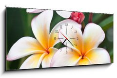 Obraz s hodinami 1D panorama - 120 x 50 cm F_AB32139814 - fleurs de frangipanier