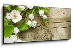 Obraz s hodinami 1D panorama - 120 x 50 cm F_AB32351313 - Spring Blossom over wooden background - Jarní květ na dřevěném pozadí