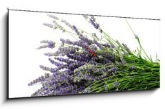 Obraz s hodinami 1D panorama - 120 x 50 cm F_AB32774353 - Lavender