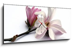 Obraz s hodinami 1D panorama - 120 x 50 cm F_AB3283757 - magnolia blossom - květ magnólie