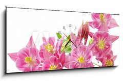 Obraz s hodinami   Aquilegia Vulgaris Columbine, 120 x 50 cm