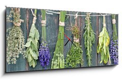 Obraz s hodinami   kr uter, 120 x 50 cm