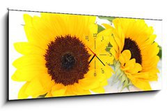 Obraz s hodinami 1D - 120 x 50 cm F_AB33524592 - Sonnenblumen