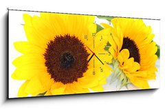 Obraz s hodinami   Sonnenblumen, 120 x 50 cm