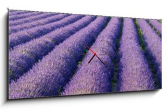 Obraz s hodinami   Champs de lavande, 120 x 50 cm