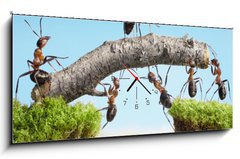 Obraz s hodinami 1D panorama - 120 x 50 cm F_AB33747166 - teamwork, team of ants costructing bridge
