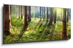 Obraz s hodinami 1D panorama - 120 x 50 cm F_AB33862548 - Forest Sunset