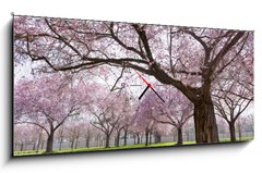 Obraz s hodinami 1D panorama - 120 x 50 cm F_AB34040343 - Sakura
