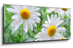 Obraz s hodinami   daisy, 120 x 50 cm